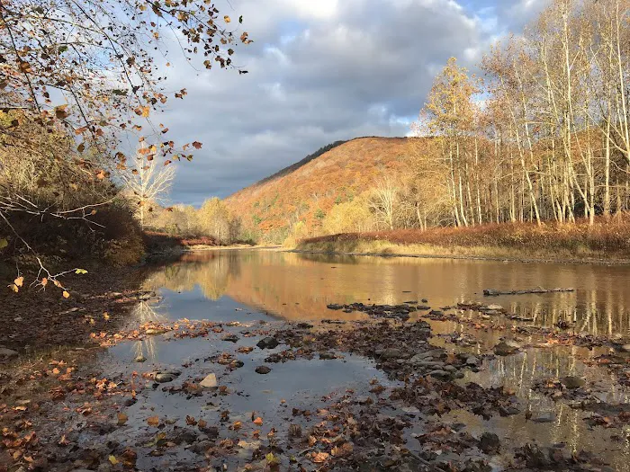 Hoffman Campground 7