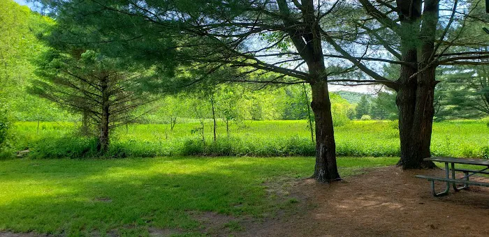 Hoffman Campground 4