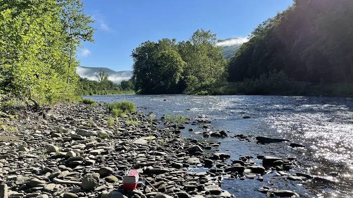 Hoffman Campground 9