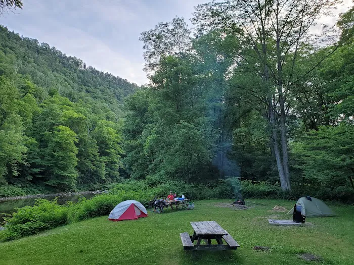 Tiadaghton Campground 7