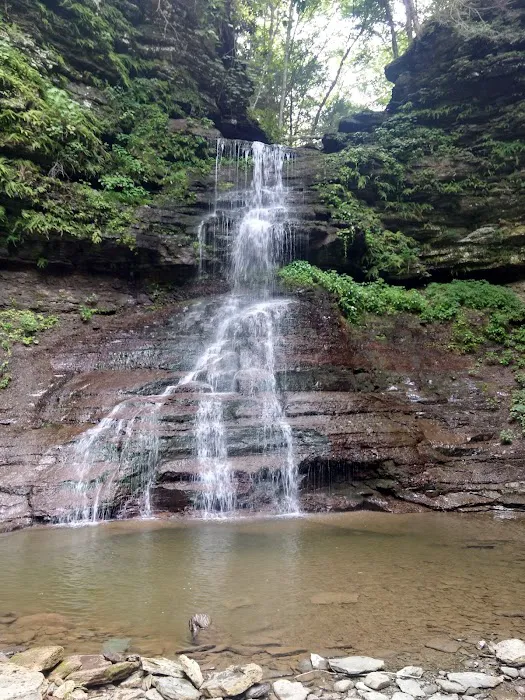 Tiadaghton Campground 8