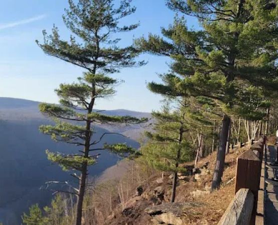 Tiadaghton Campground