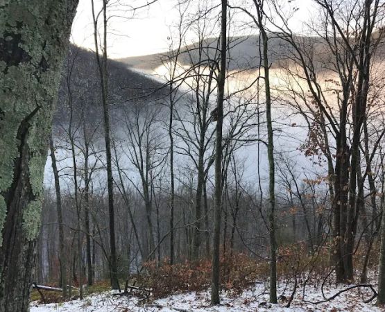 Pettecote Junction Campground