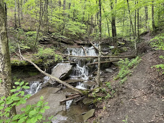 Leonard Harrison campground 8