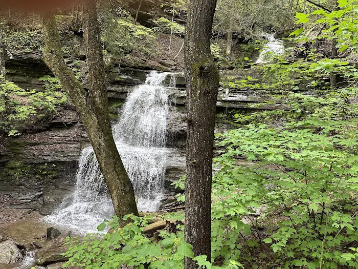 Leonard Harrison campground 6