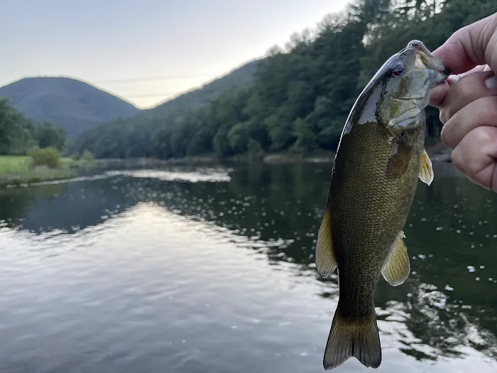 Tomb Flats Campground 5