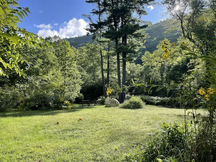 Tomb Flats Campground 3