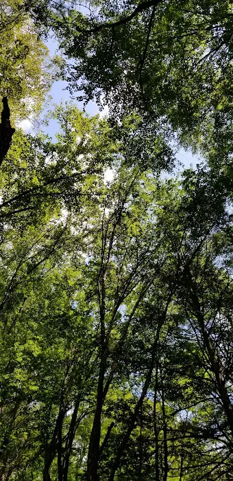 Tomb Flats Campground 0