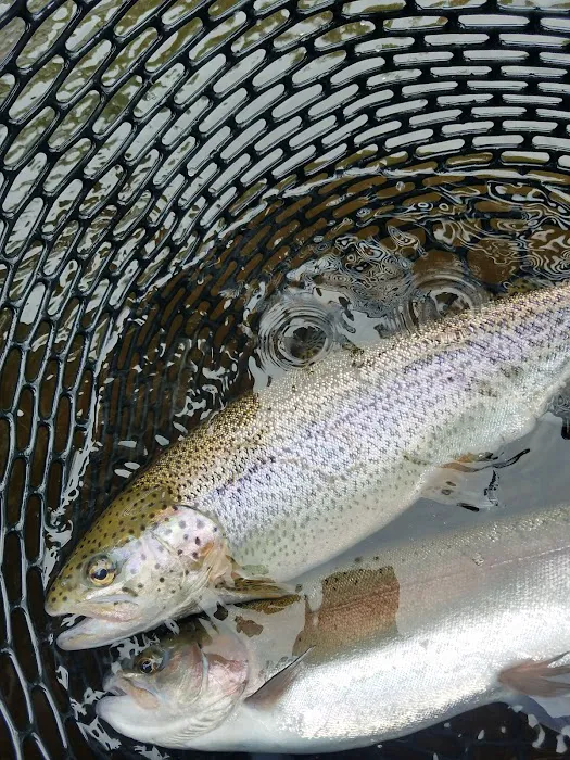 Tomb Flats Campground 6