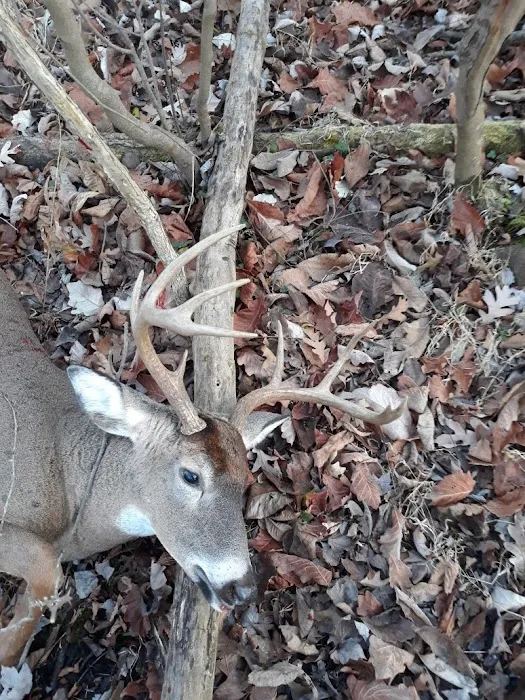 Black Forest Campground, LLC 7