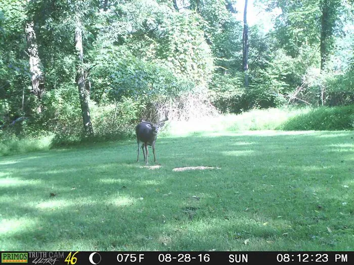 Black Forest Campground, LLC 0