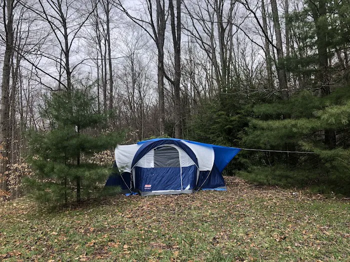 Rauch Road Gas Well Campsite 2