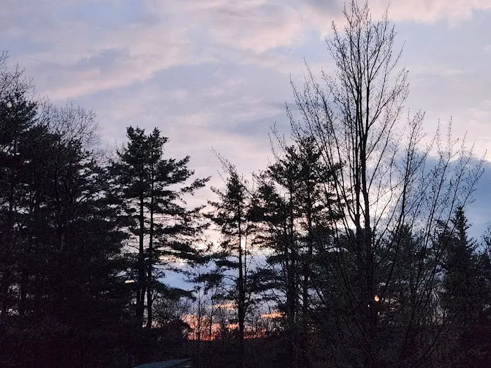 Camp Earth Connection 4