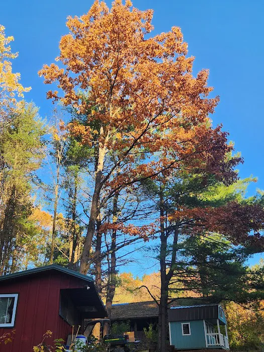 Camp Earth Connection 5