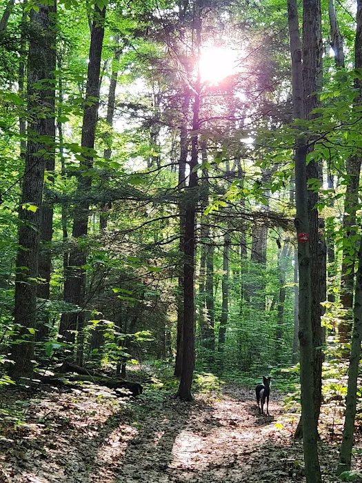 Camp Earth Connection 7