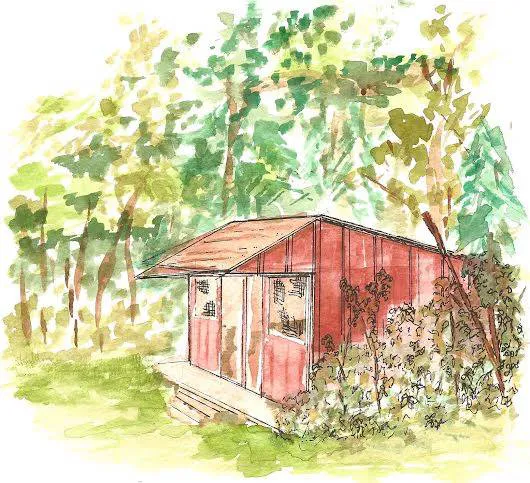 Camp Earth Connection 2