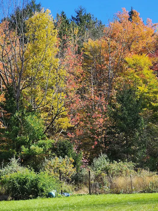 Camp Earth Connection 0