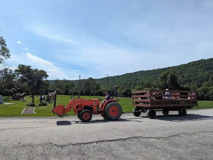 Ferenbaugh Campground 3