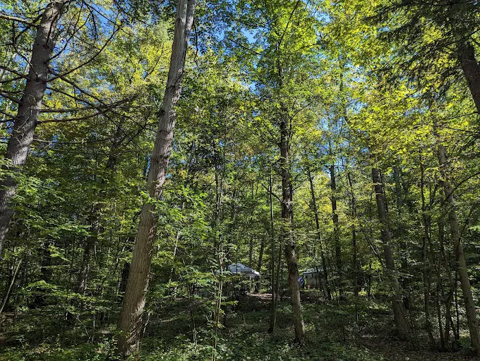 Ferenbaugh Campground 2