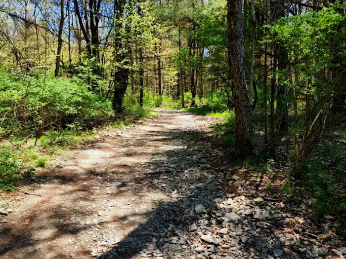 MorningStar RV Park 3