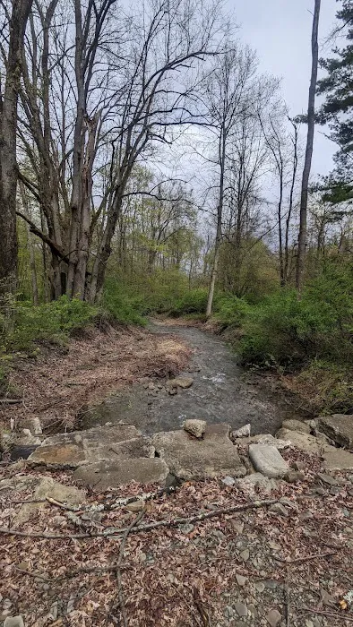 MorningStar RV Park 2