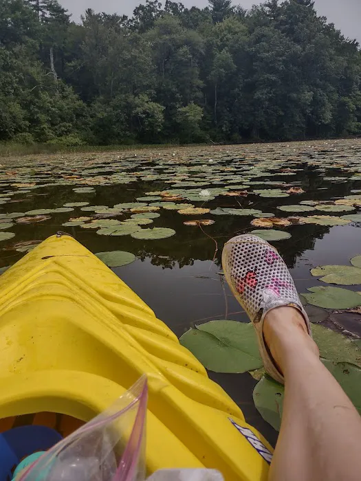 Barton Cove Campground and Canoe Rental 6