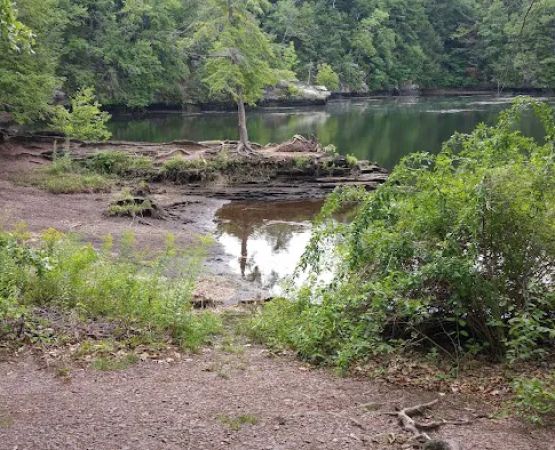 Barton Cove Campground and Canoe Rental