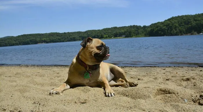 Barton Cove Campground and Canoe Rental 9