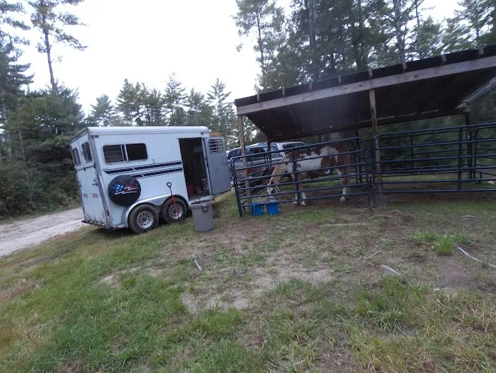 The Wagon Wheel Campground 5