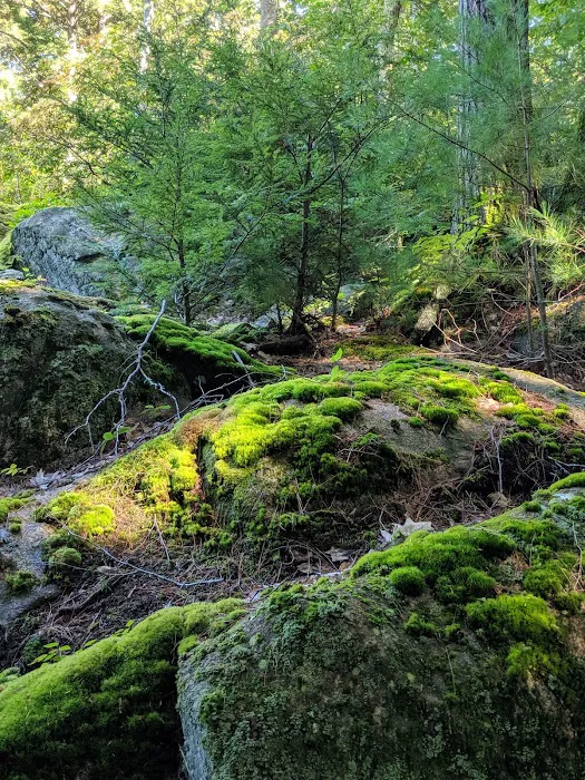 Solair Recreation League 3