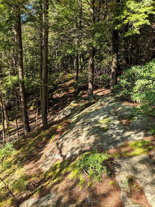 Solair Recreation League 9