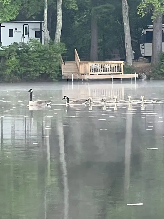 Lake Dean Campground LLC 1