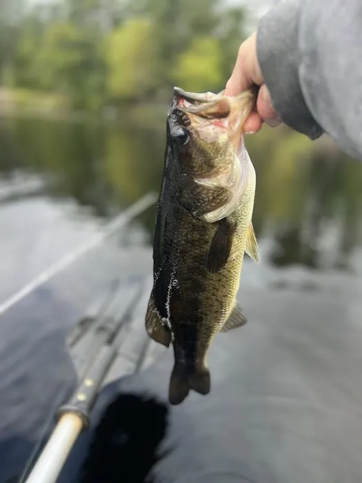 Lake Dean Campground LLC 8