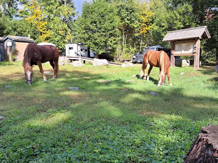 Silvermine Horse Campsite 0
