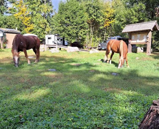 Silvermine Horse Campsite