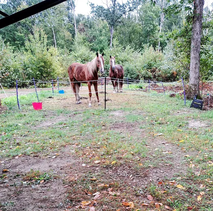 Silvermine Horse Campsite 9