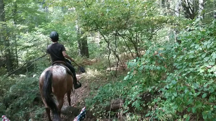 Silvermine Horse Campsite 6