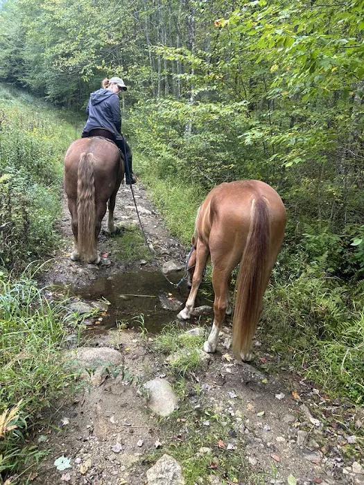 Silvermine Horse Campsite 8