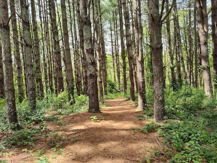 Wolf Den Campground 1