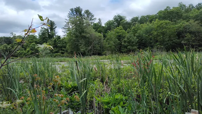 Wolf Den Campground 6