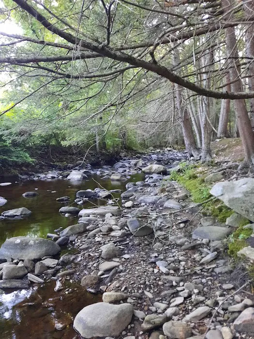 Wolf Den Campground 4