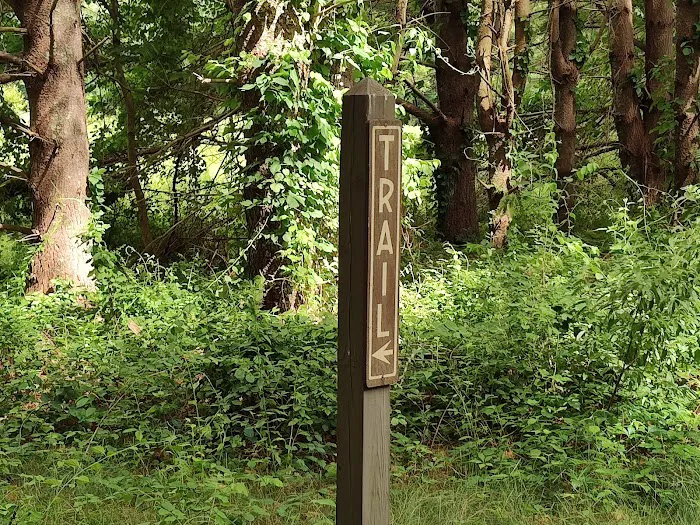 Wolf Den Campground 8