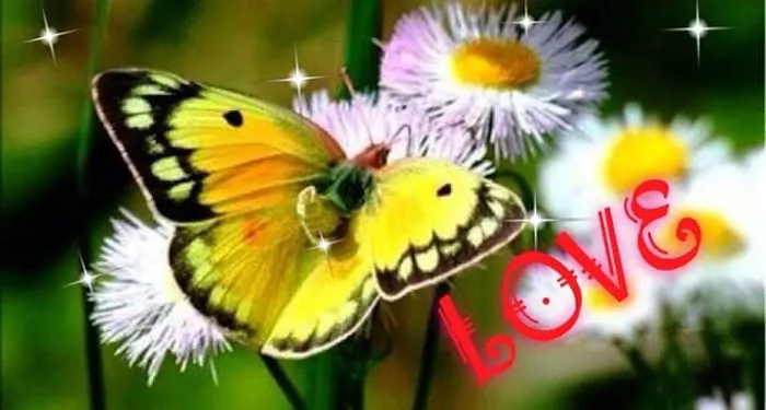 Pleasure Valley Park 2