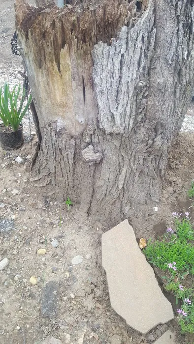 R&R Mobile Home Park 6