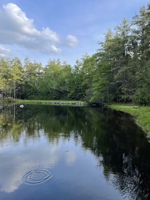 Peaceful Acres Campground 3