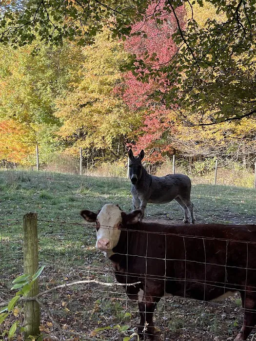 Peaceful Acres Campground 8