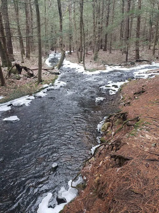 Peaceful Acres Campground 7