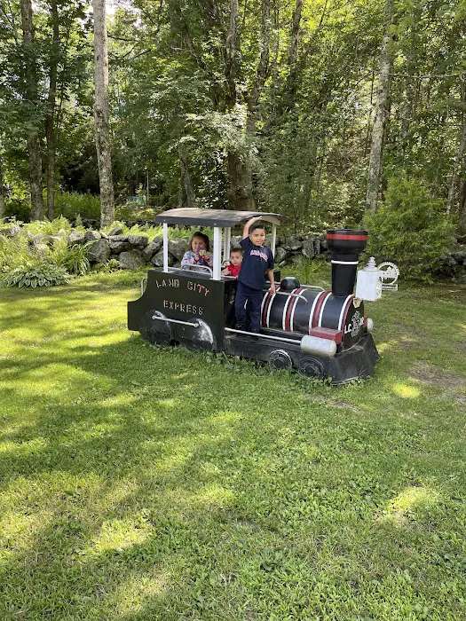 Lamb City Campground 9