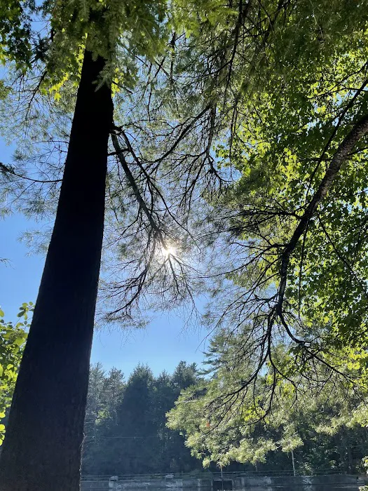 Otter River Campground 1