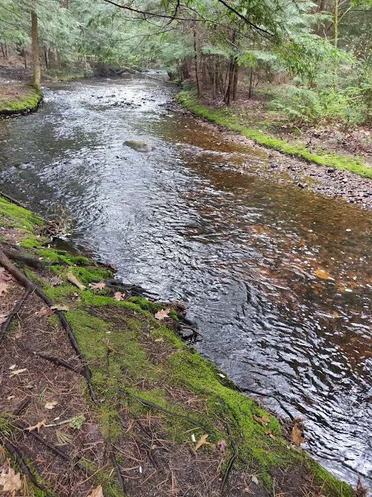 Otter River Campground 4